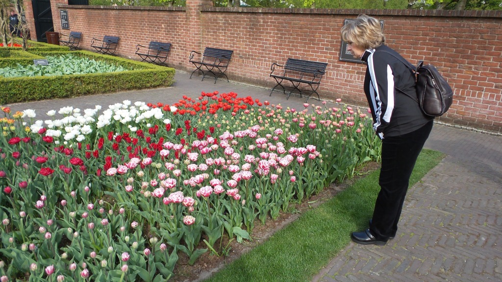 2014-04-17 Holland Tulips 10.jpg
